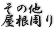 その他屋根周り